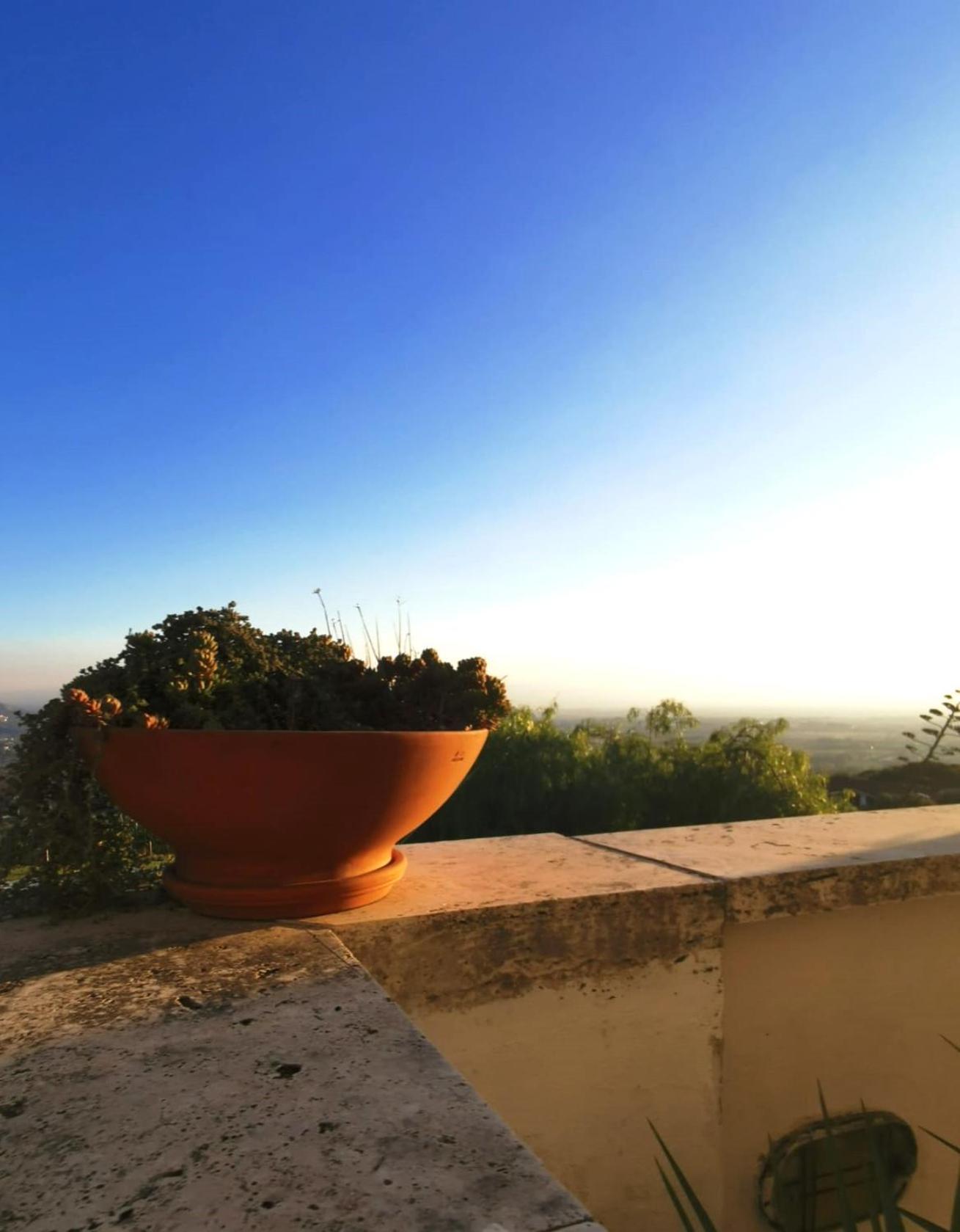 Villa Dei Romani - Country House Guidonia Eksteriør bilde