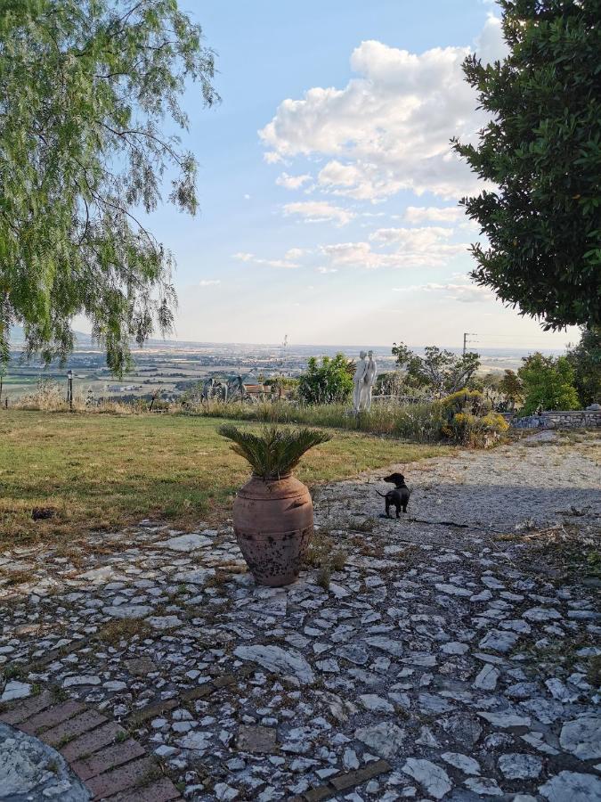 Villa Dei Romani - Country House Guidonia Eksteriør bilde
